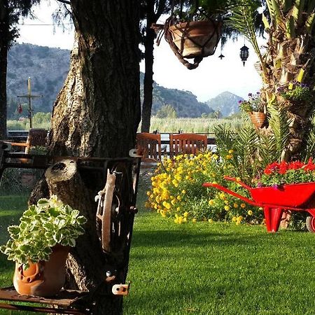 Hotel Happy Caretta Dalyan Exterior foto