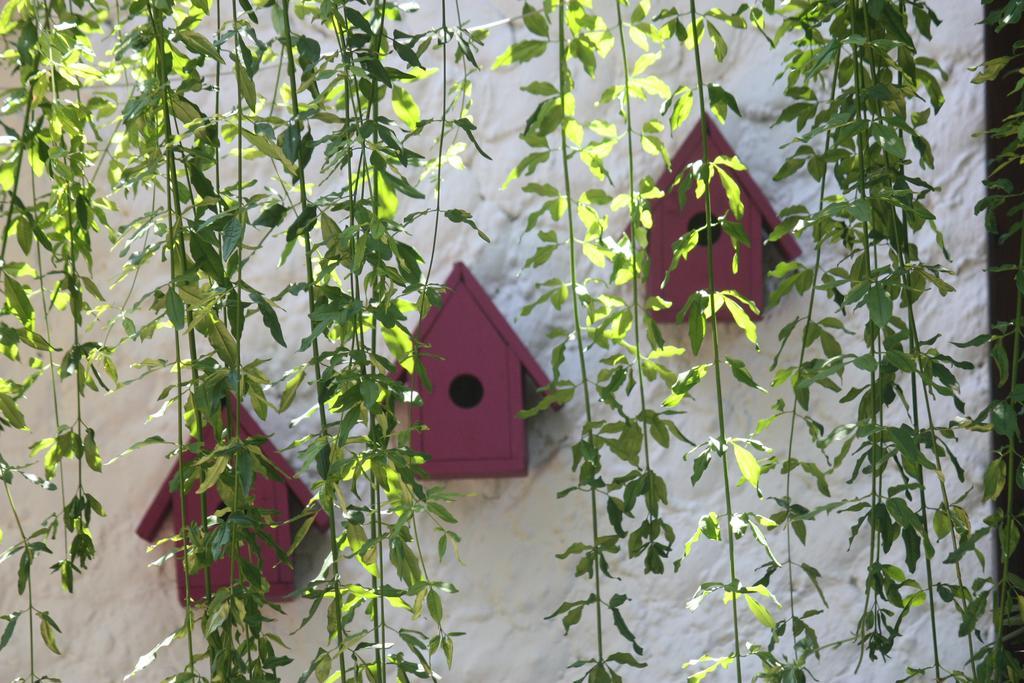 Hotel Happy Caretta Dalyan Exterior foto