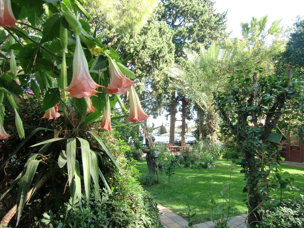 Hotel Happy Caretta Dalyan Exterior foto