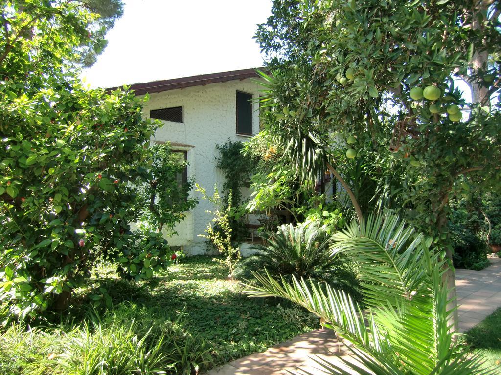 Hotel Happy Caretta Dalyan Exterior foto